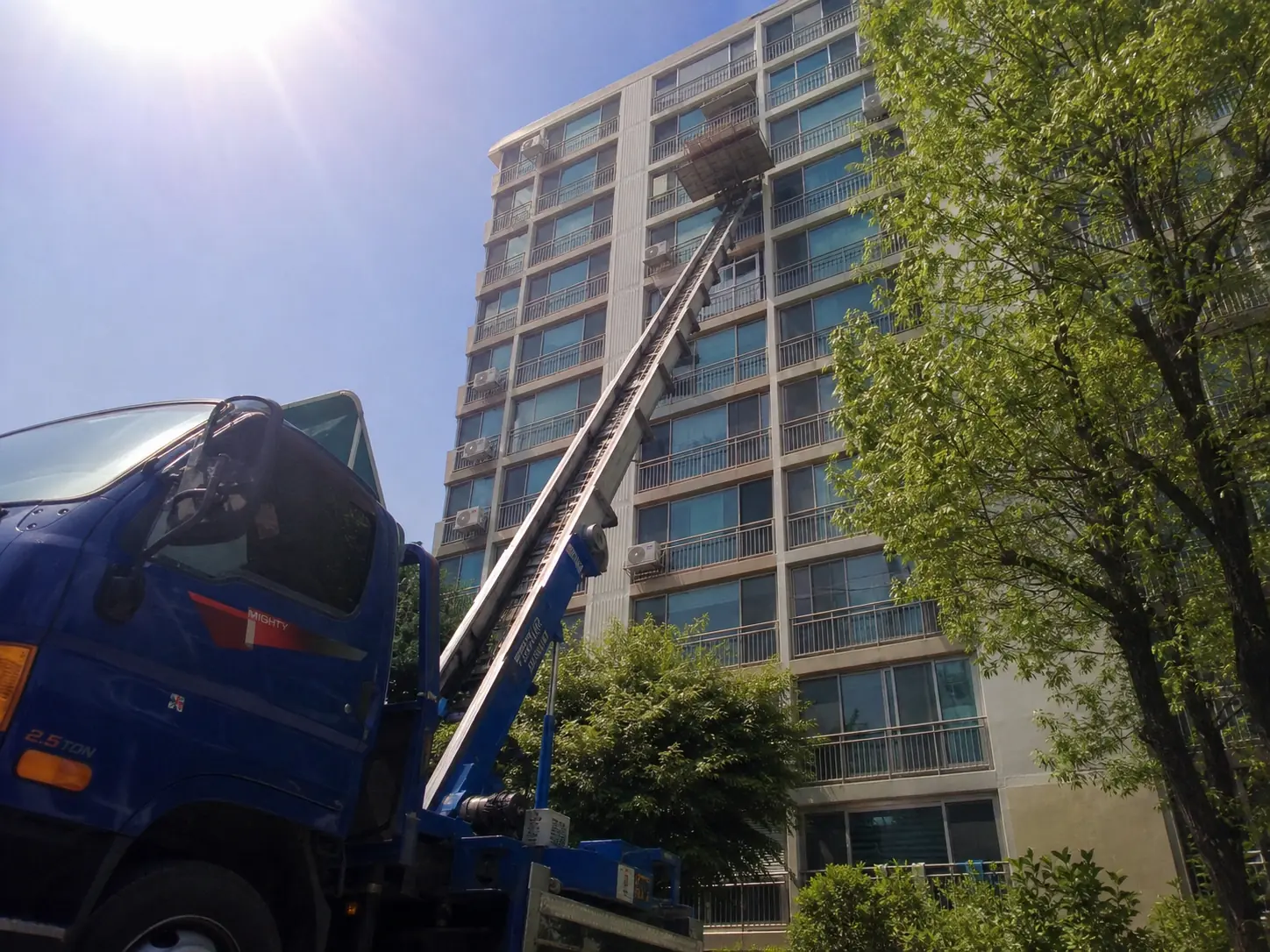 정식업체