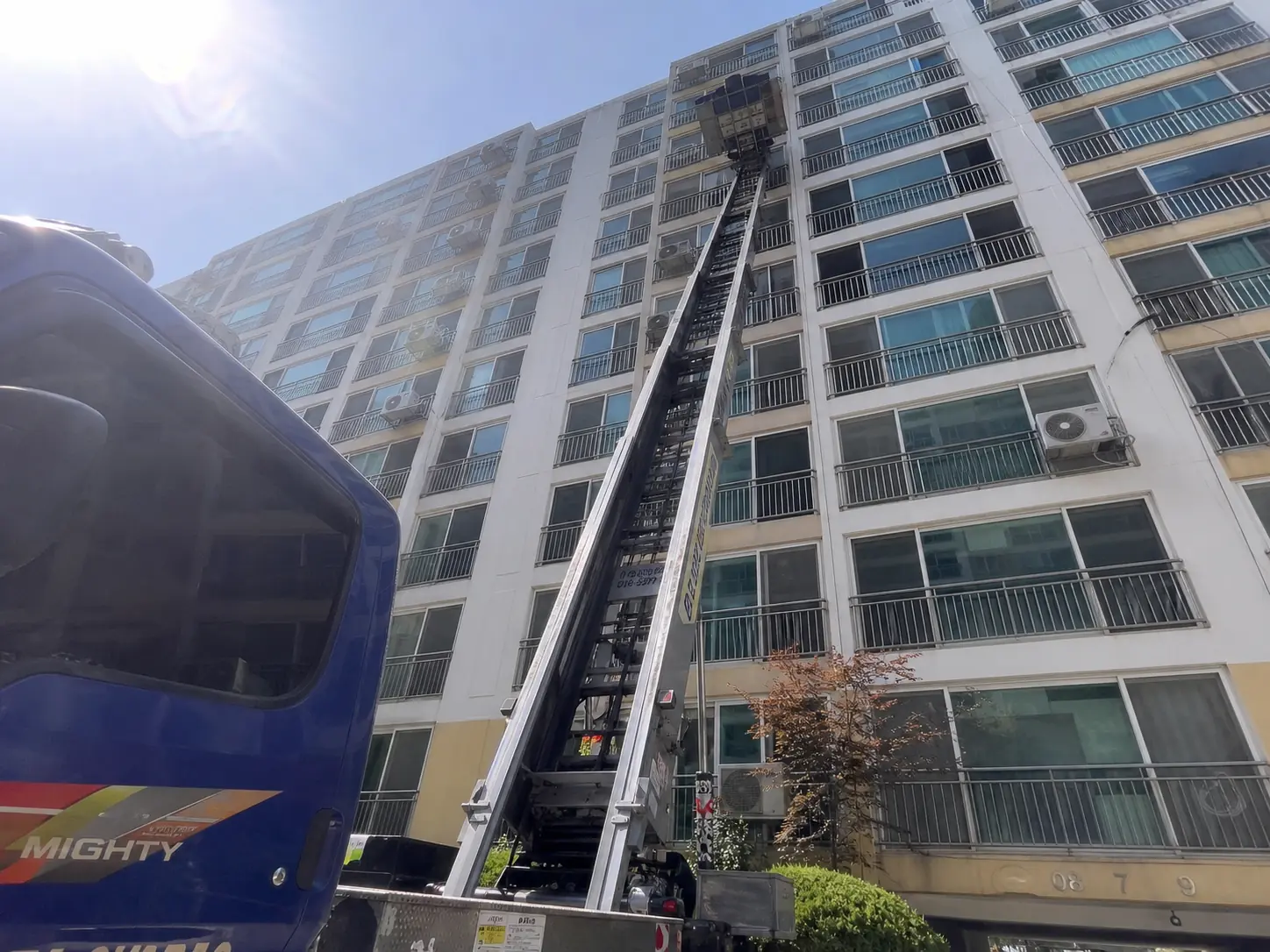 투명한견적